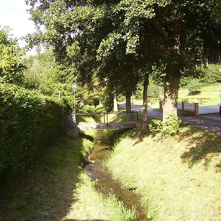 Отель Zur Erholung Brochthausen